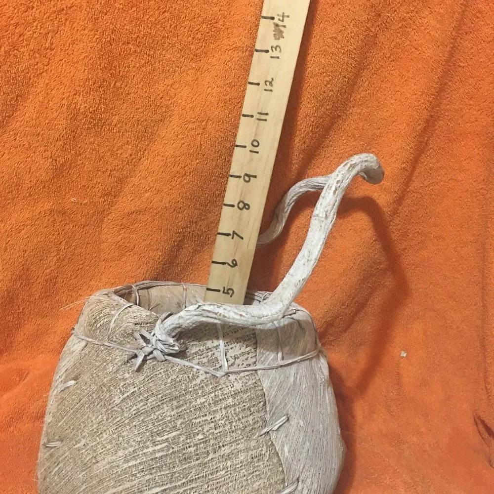 Primitive Style Rustic Round Woven Banana Leaves Basket With Handle White Wash